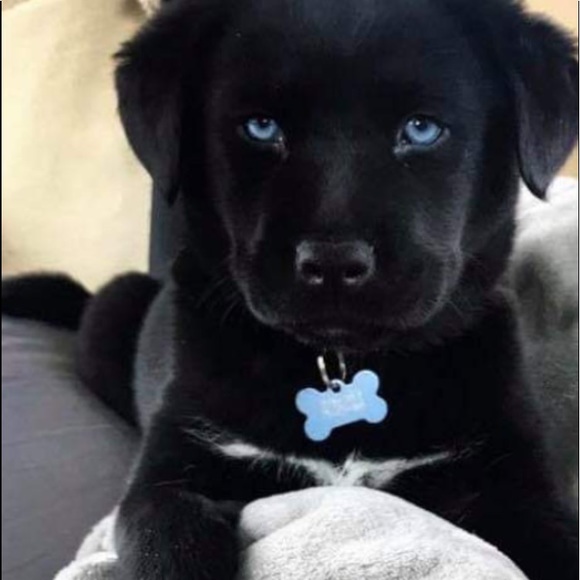 Meet your Posher, Carla - Picture 2 of 4